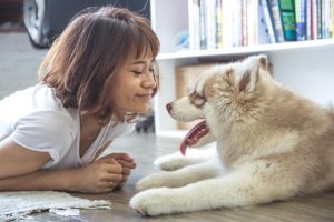 Missverständnisse in der Hundeerziehung vermeiden – Soforthilfe mit diesen 5 Tipps